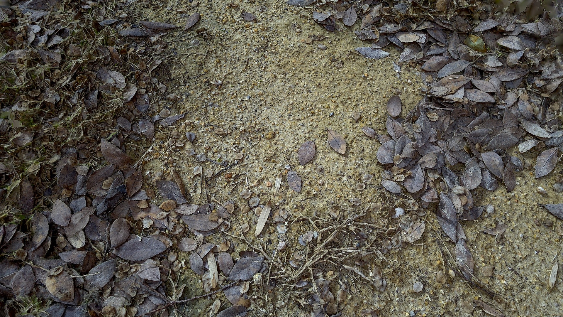 Photogrammetry Ground Surface